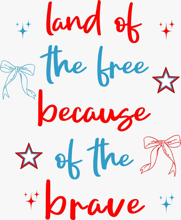Land of the Free Because of the Brave - Texas DTF Print