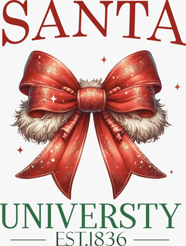 Santa University - Texas DTF Print